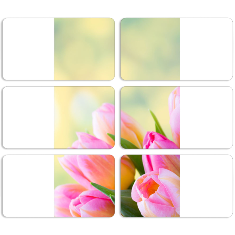Магнитные фотопазлы 90 на 50 набор 6 штук Bouquet of Tulips