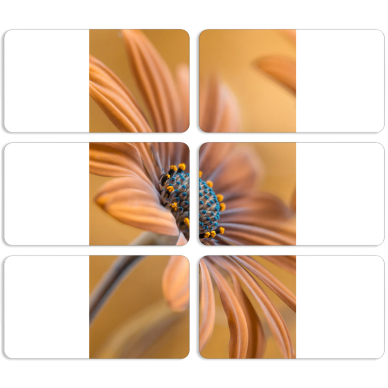 Магнитные фотопазлы 90 на 50 набор 6 штук 