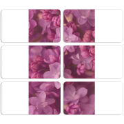 Магнитные фотопазлы 90 на 50 набор 6 штук 