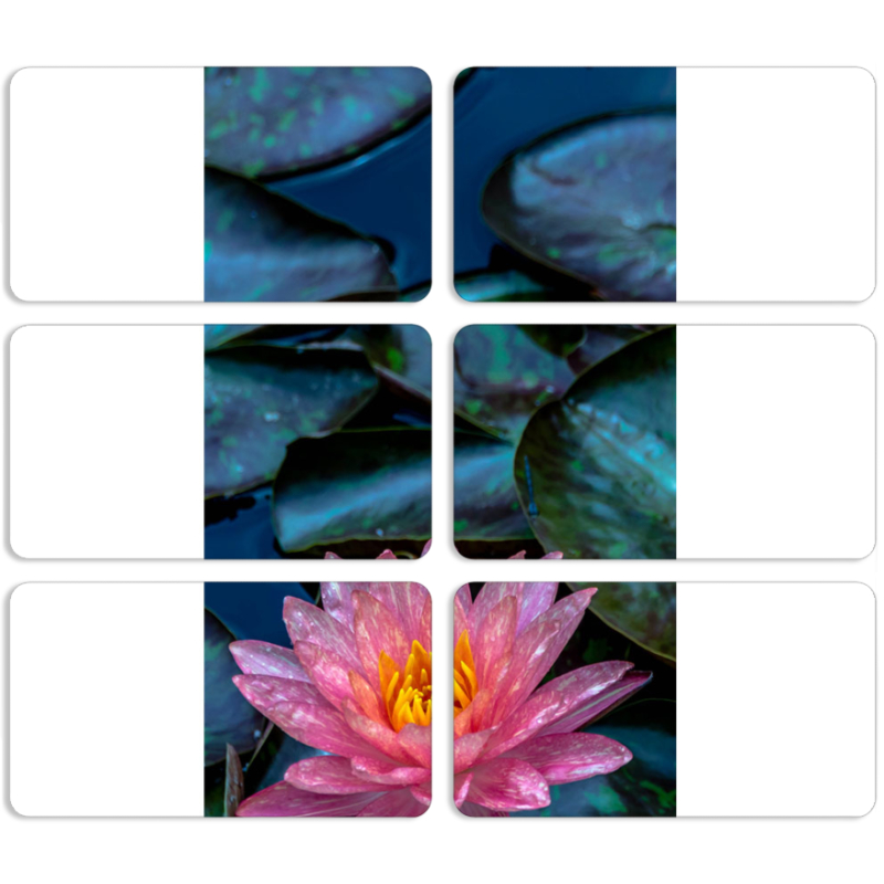 Магнитные фотопазлы 90 на 50 набор 6 штук 