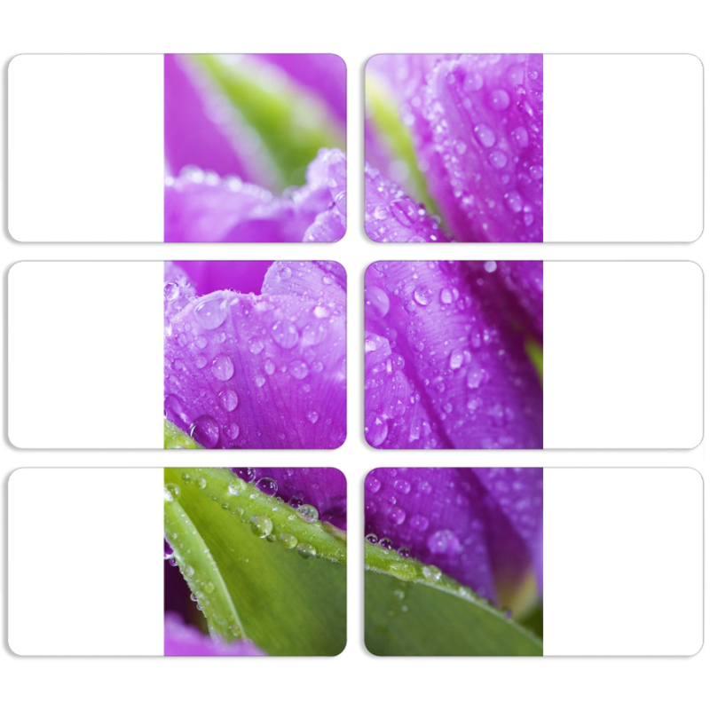 Магнитные фотопазлы 90 на 50 набор 6 штук 