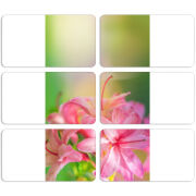 Магнитные фотопазлы 90 на 50 набор 6 штук 