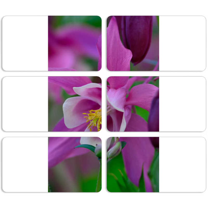 Магнитные фотопазлы 90 на 50 набор 6 штук 