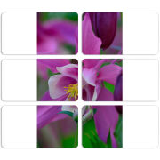 Магнитные фотопазлы 90 на 50 набор 6 штук 