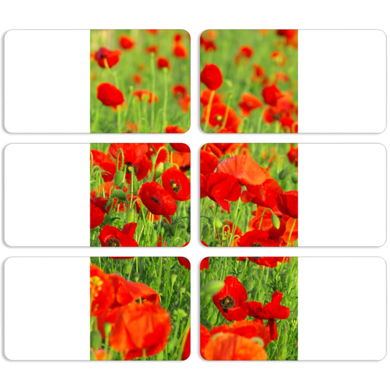 Магнитные фотопазлы 90 на 50 набор 6 штук 