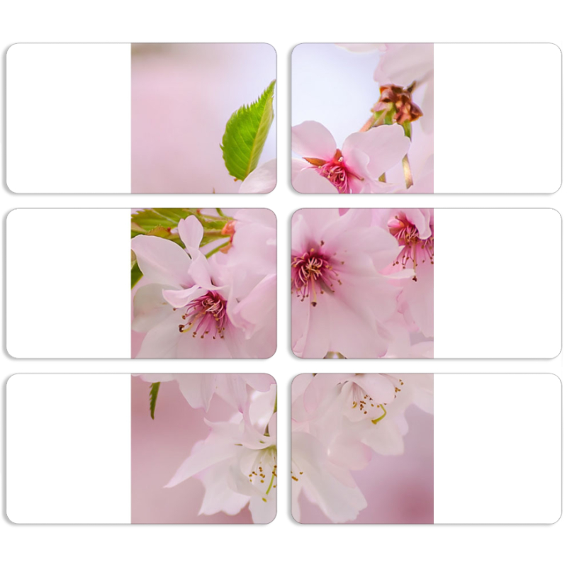 Магнитные фотопазлы 90 на 50 набор 6 штук 