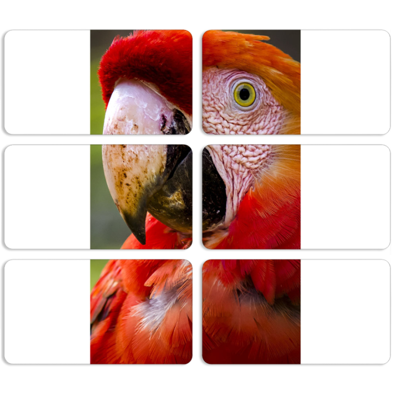 Магнитные фотопазлы 90 на 50 набор 6 штук 