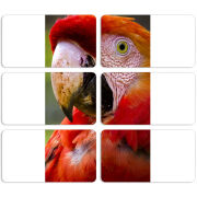 Магнитные фотопазлы 90 на 50 набор 6 штук 