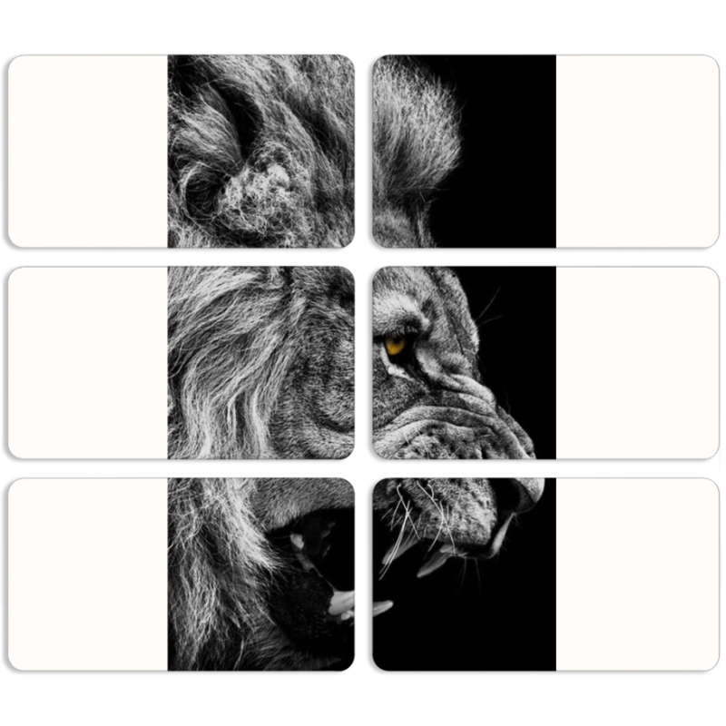 Магнитные фотопазлы 90 на 50 набор 6 штук 