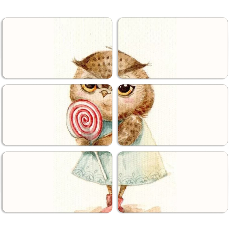 Магнитные фотопазлы 90 на 50 набор 6 штук Совушка