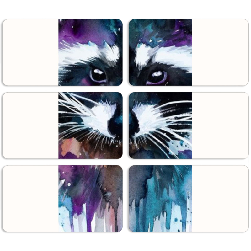 Магнитные фотопазлы 90 на 50 набор 6 штук Акварельный енот