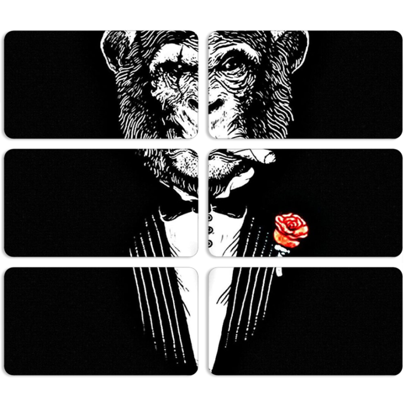 Магнитные фотопазлы 90 на 50 набор 6 штук Monkey Don