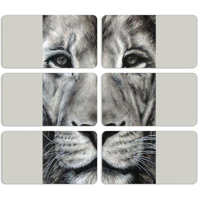 Магнитные фотопазлы 90 на 50 набор 6 штук 