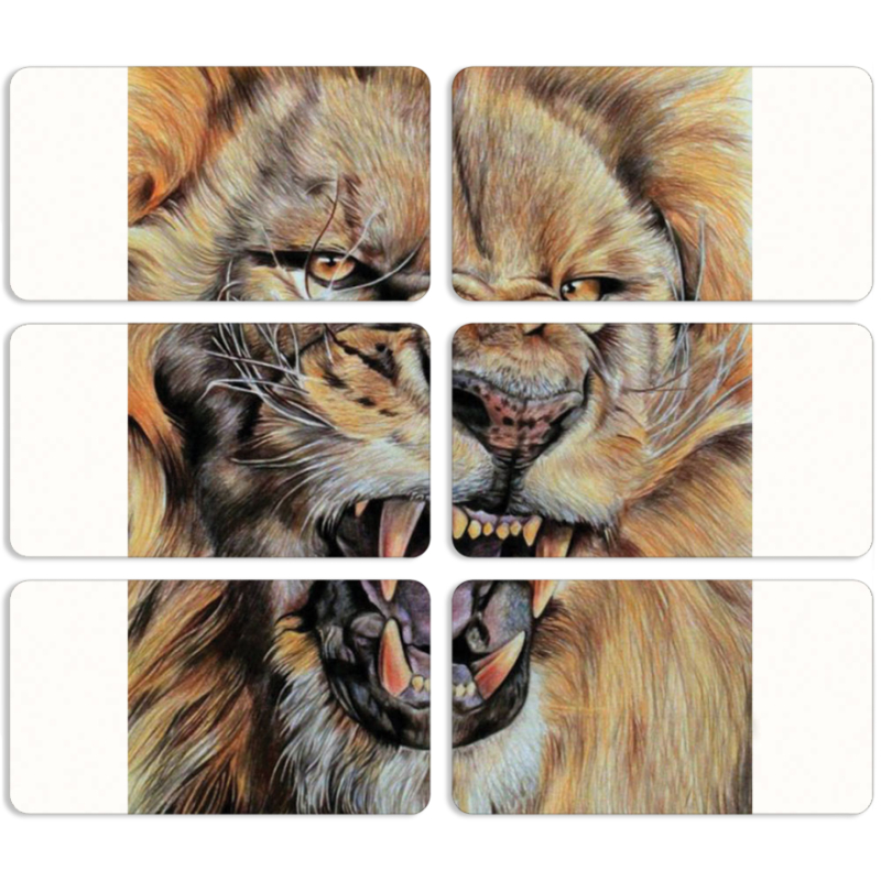 Магнитные фотопазлы 90 на 50 набор 6 штук 