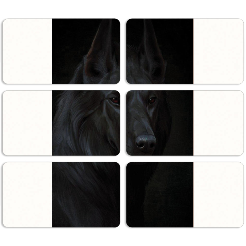 Магнитные фотопазлы 90 на 50 набор 6 штук 