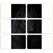 Магнитные фотопазлы 90 на 50 набор 6 штук 