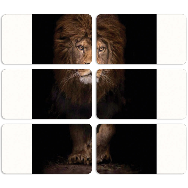 Магнитные фотопазлы 90 на 50 набор 6 штук 