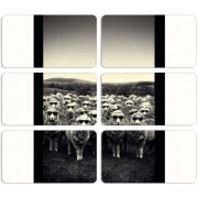 Магнитные фотопазлы 90 на 50 набор 6 штук 