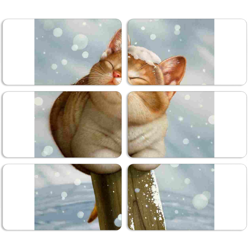 Магнитные фотопазлы 90 на 50 набор 6 штук 