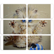 Магнитные фотопазлы 90 на 50 набор 6 штук 