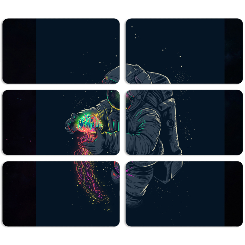 Магнитные фотопазлы 90 на 50 набор 6 штук 