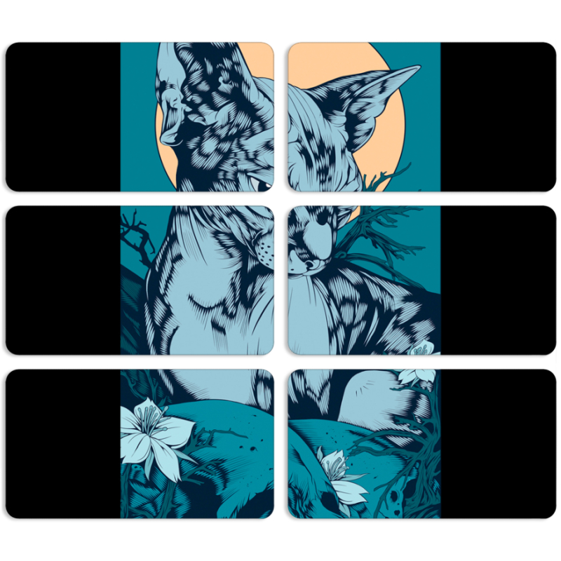 Магнитные фотопазлы 90 на 50 набор 6 штук 