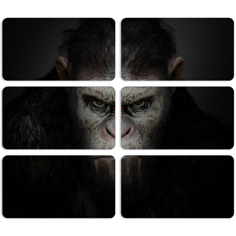 Магнитные фотопазлы 90 на 50 набор 6 штук 