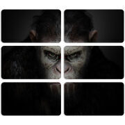 Магнитные фотопазлы 90 на 50 набор 6 штук 