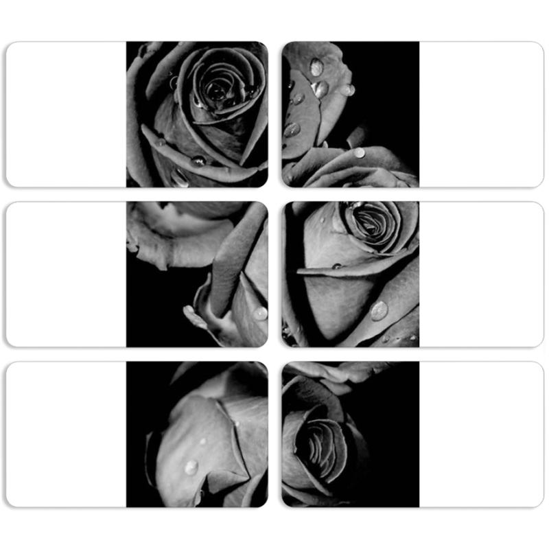 Магнитные фотопазлы 90 на 50 набор 6 штук Black and White Roses