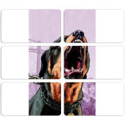 Магнитные фотопазлы 90 на 50 набор 6 штук 