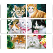 Магнитные фотопазлы 90 на 50 набор 6 штук 