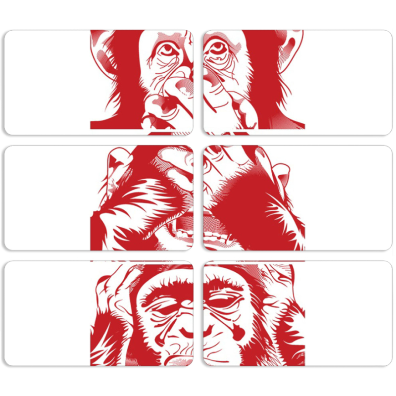 Магнитные фотопазлы 90 на 50 набор 6 штук 