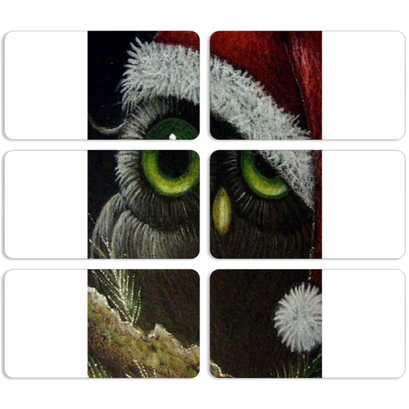 Магнитные фотопазлы 90 на 50 набор 6 штук Christmas Owl