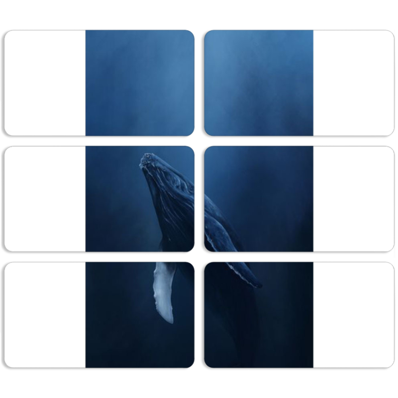 Магнитные фотопазлы 90 на 50 набор 6 штук 