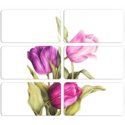 Магнитные фотопазлы 90 на 50 набор 6 штук 