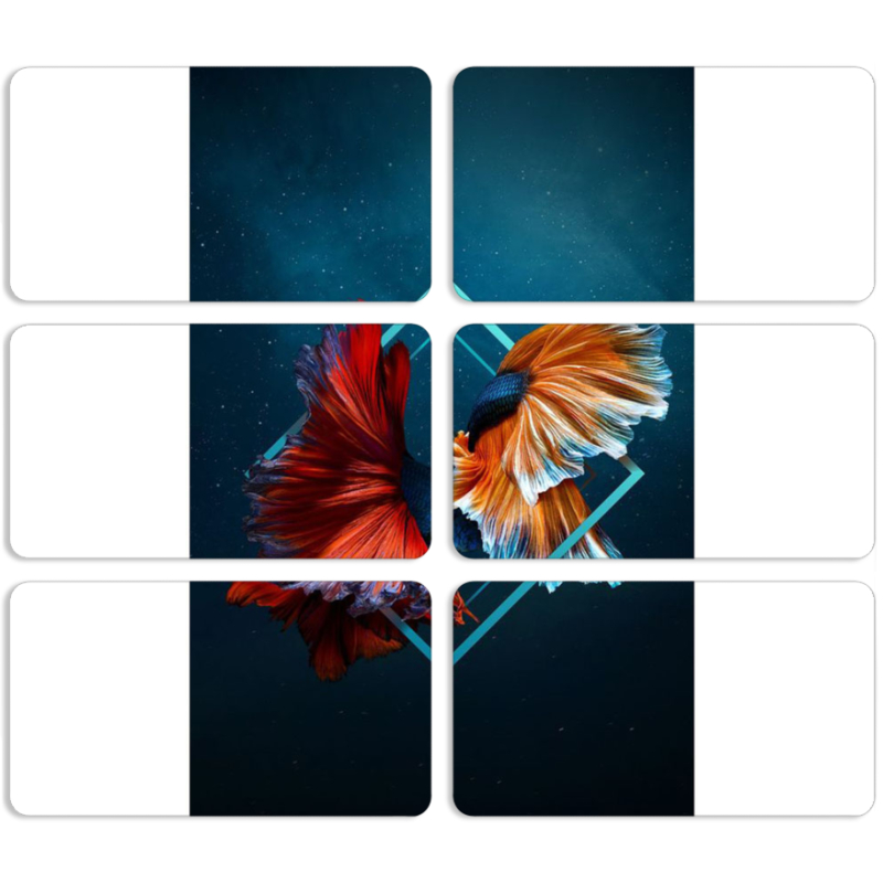 Магнитные фотопазлы 90 на 50 набор 6 штук 