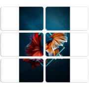 Магнитные фотопазлы 90 на 50 набор 6 штук 