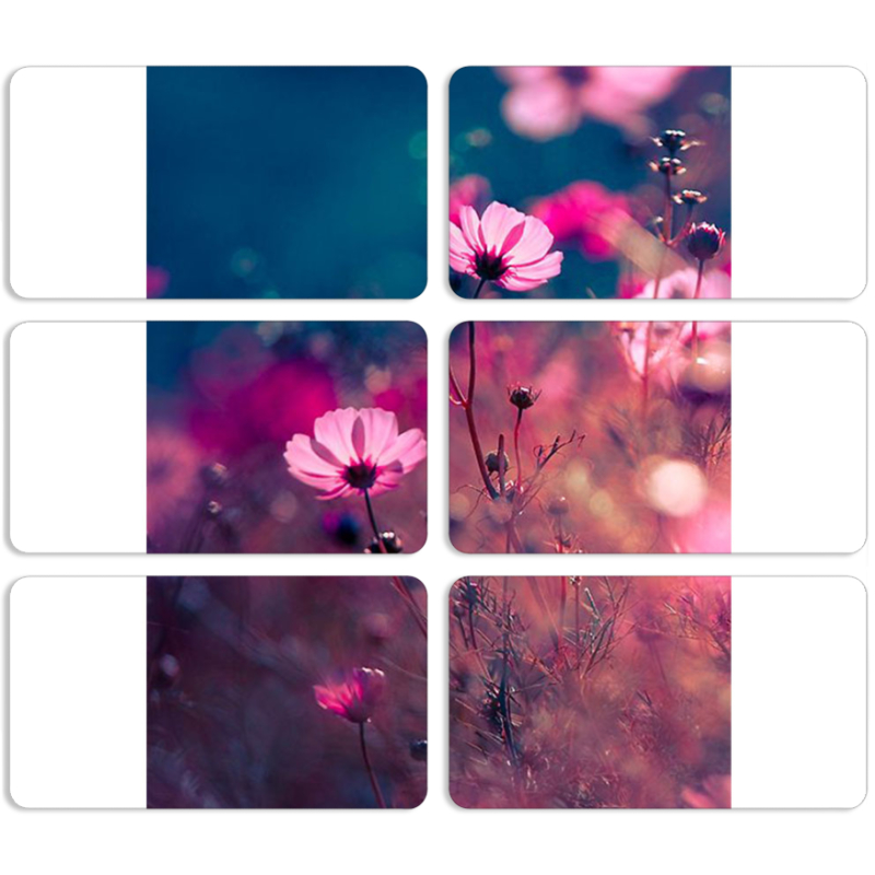 Магнитные фотопазлы 90 на 50 набор 6 штук 