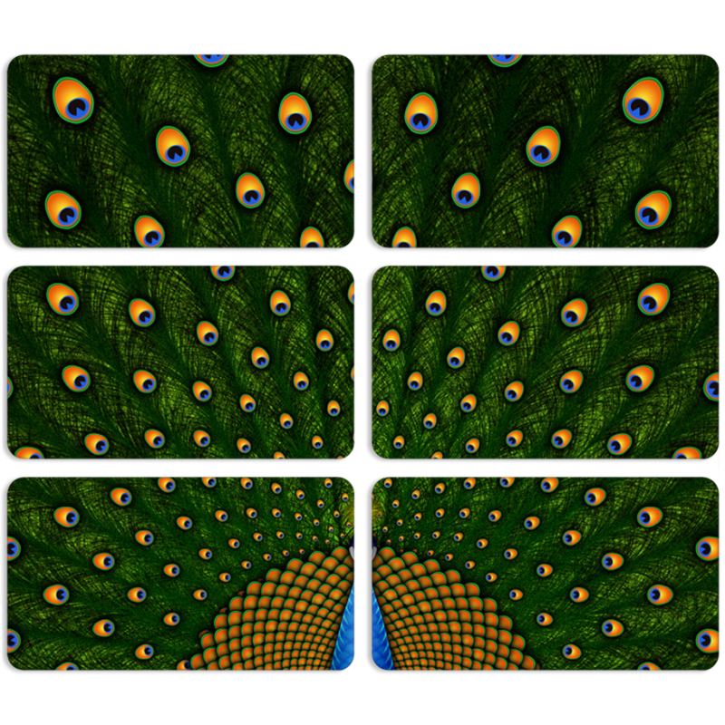 Магнитные фотопазлы 90 на 50 набор 6 штук Peacocks Tail