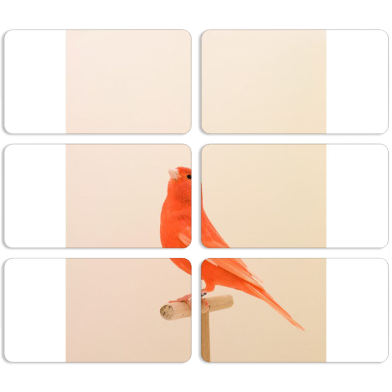 Магнитные фотопазлы 90 на 50 набор 6 штук 