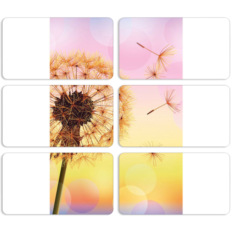 Магнитные фотопазлы 90 на 50 набор 6 штук 