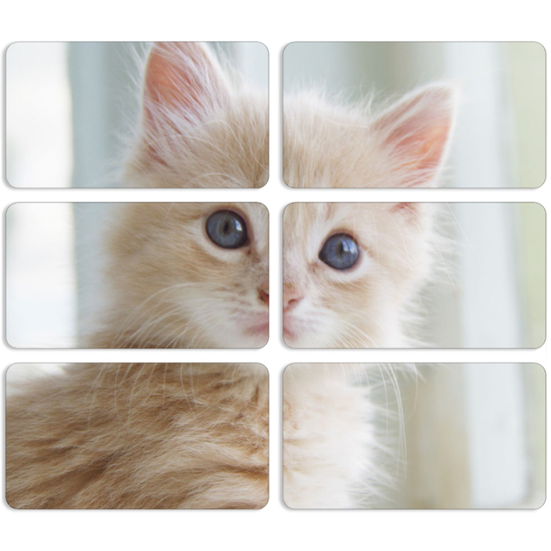 Магнитные фотопазлы 90 на 50 набор 6 штук Animation Kittens