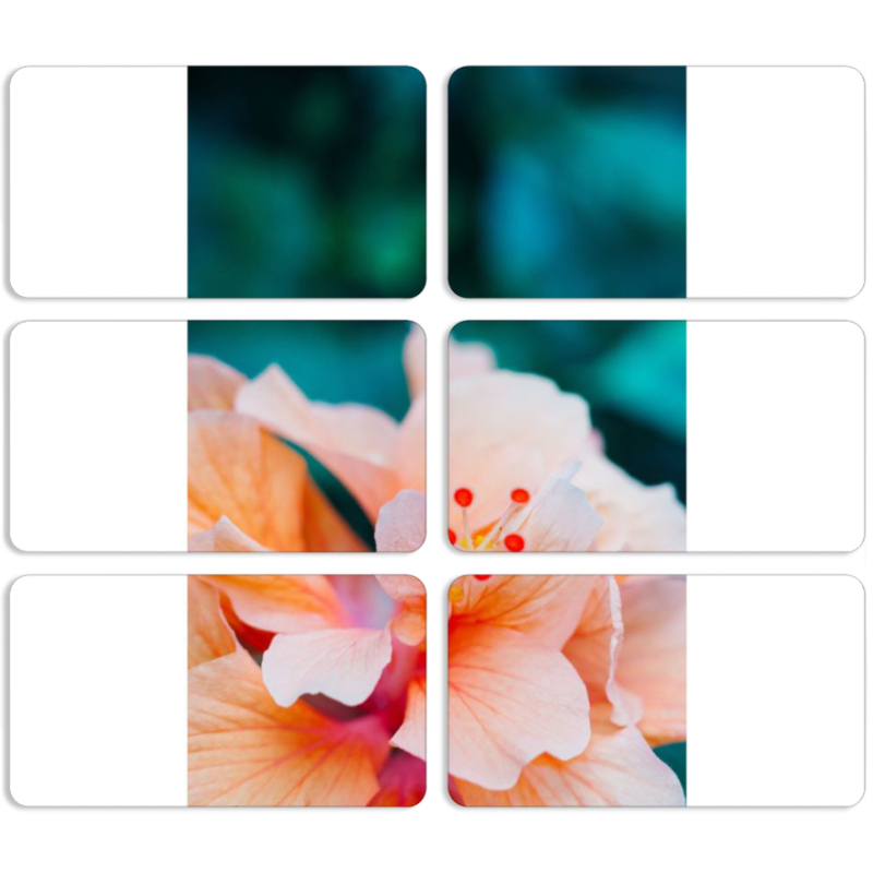 Магнитные фотопазлы 90 на 50 набор 6 штук 