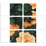 Магнитные фотопазлы 90 на 50 набор 6 штук 