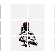 Магнитные фотопазлы 90 на 50 набор 6 штук 