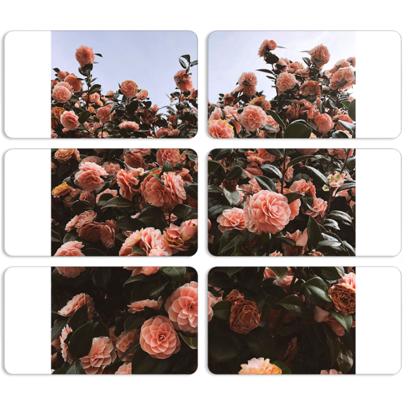 Магнитные фотопазлы 90 на 50 набор 6 штук 