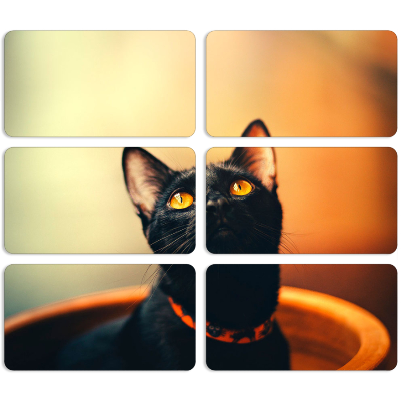 Магнитные фотопазлы 90 на 50 набор 6 штук 