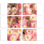 Магнитные фотопазлы 90 на 50 набор 6 штук 