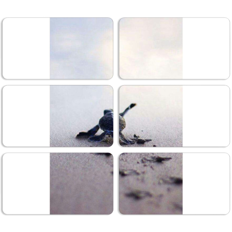 Магнитные фотопазлы 90 на 50 набор 6 штук 