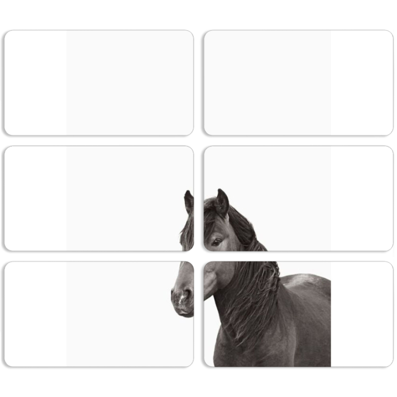 Магнитные фотопазлы 90 на 50 набор 6 штук 